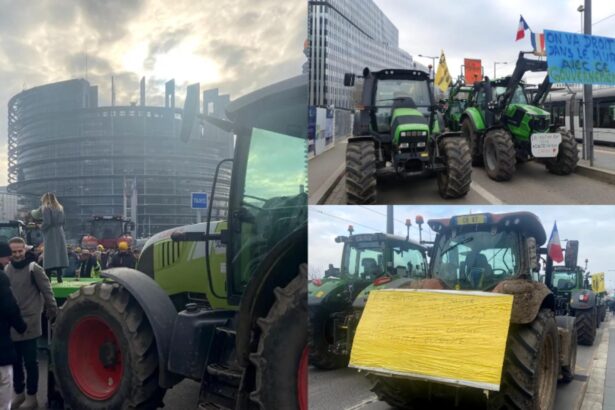 fermierii francezi protesteaza in fata parlamentului european de la strasbourg zeci de utiaje blocheaza accesul in institutie 694299cf41cfd