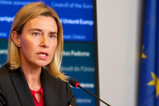 fosta sefa a diplomatiei ue a fost retinuta sub suspiciunea de frauda cu fonduri europene 692f08761c187