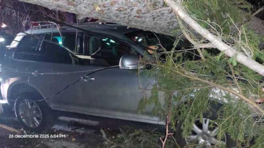 furtuna a facut ravagii pe valea prahovei copaci smulsi de vant la sinaia si un autoturism avariat 694edc2b15f1b