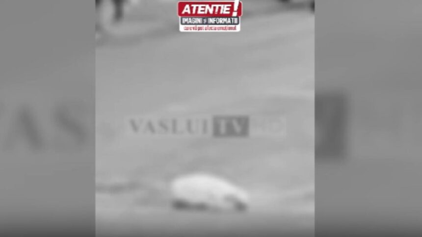 imagini socante batran spulberat pe trecere de o masina 693c387610b0c