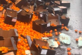 imagini uluitoare in mehedinti un tir plin cu portocale s a rasturnat iar oamenii s au inghesuit pe sosea sa le adune video 692eb749090d2