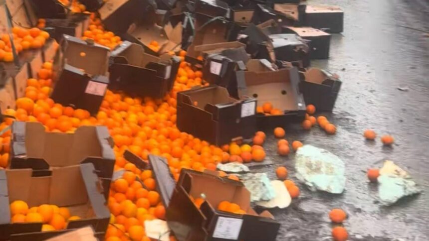 imagini uluitoare in mehedinti un tir plin cu portocale s a rasturnat iar oamenii s au inghesuit pe sosea sa le adune video 692eb749090d2