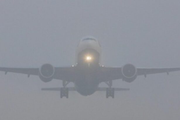 incident aviatic un avion de la londra care trebuia sa ajunga la suceava a aterizat fortat la timisoara 6946b6024f941