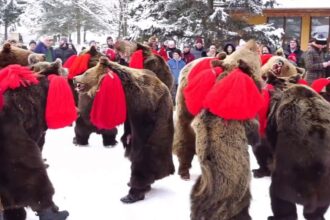 jocul ursului din comanesti traditie in patrimoniul unesco sute de oameni pastreaza ritualul vechi de secole video 695521ab3c584