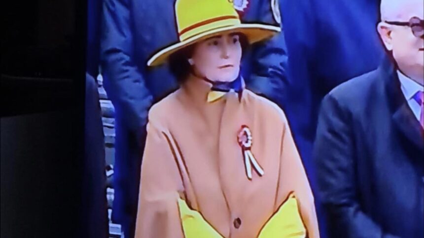 judecatoarea scantei pata galbena de la parada de 1 decembrie tinuta scandaloasa care a sfidat protocolul 692daae53163a