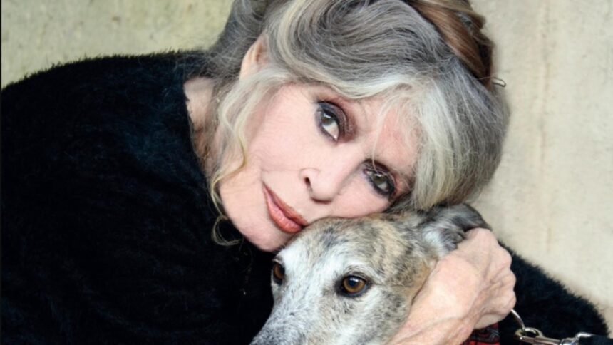 la 91 de ani brigitte bardot trimite un mesaj pentru fanii sai dupa o noua internare in doar o luna 692f095600715