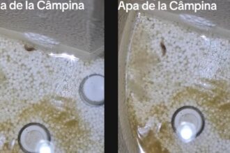 locuitorii din campina se trezesc cu vietuitoare ciudate in apa de la robinet video 6935989775f2c