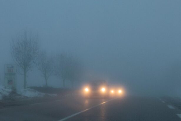 mare atentie soferi cod galben de ceata densa in zone din noua judete din tara marti dimineata 6941165a0d229