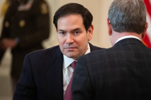 mesaj de ziua nationala marco rubio saluta investitiile romaniei in aparare 692d40707209b