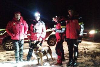 misiuni salvamont pentru gasirea unui barbat disparut si pentru sprijinirea unor turisti confruntati cu ursi pe traseu 694461406cc30