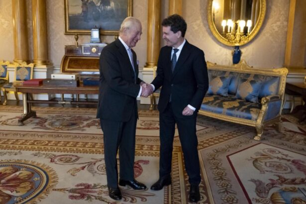 nicusor dan fata in fata cu regele charles al marii britanii 69431aef2fc1f