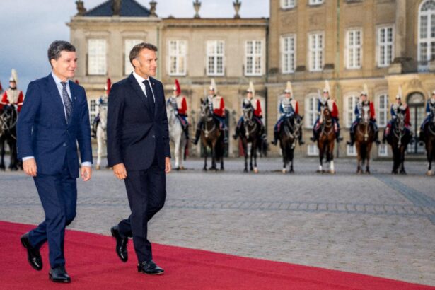 nicusor dan se intalneste astazi cu emmanuel macron la palatul elysee in cadrul primei vizite oficiale in franta 69367741a6ce6