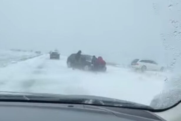 ninsoarea si viscolul face prapad pe drumuri trafic paralizat in brebeni soferii imping masini inzapezite video 694d238cdc136