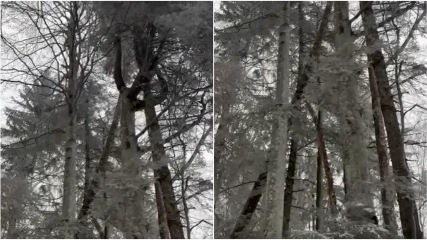 pericol urias pe traseele montane avertisemntul salvamontistilor pentru turisti video 69526022ea675