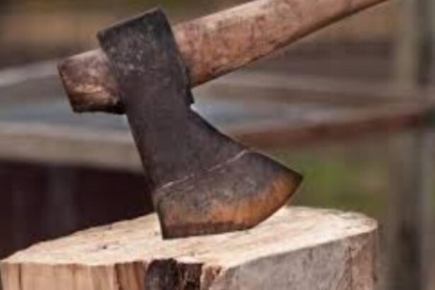 politisti locali atacati cu toporul la bocsa agresorul cercetat in arest la domiciliu 694a702fd5008