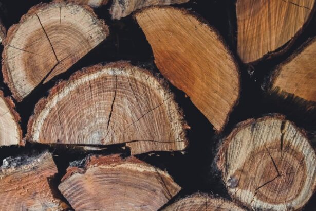 pretul lemnelor de foc in 2025 cu cat vinde romsilva metrul cub si unde sunt cele mai mici preturi 6946d53fcaa56