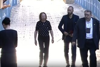 probele care complica dosarul rodicai stanoiu noi detalii ies la iveala in urma perchezitiilor substante afrodisiace gasite in casa 6953c58cb8a6b