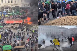 protestul urias al fermierilor pus pe pauza pana in ianuarie imagini incredibile belgienii au luat acasa cartofii aruncati de manifestati 6946800715724