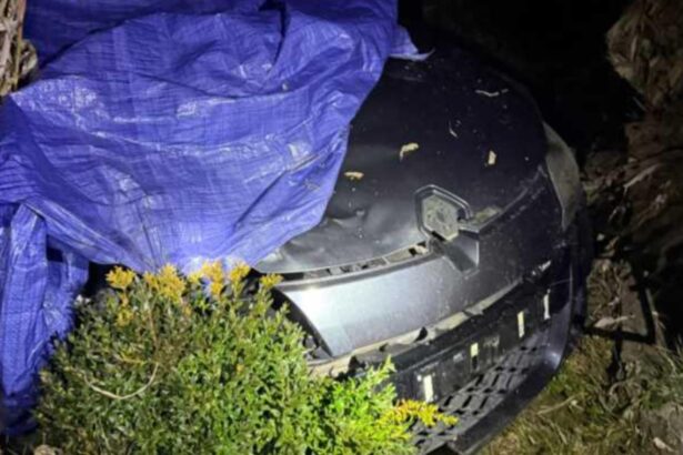 tanar beat cercetat dupa ce a lovit mortal un biciclist de 30 de ani cum a incercat sa si ascunda fapta 6934207e7cb2a