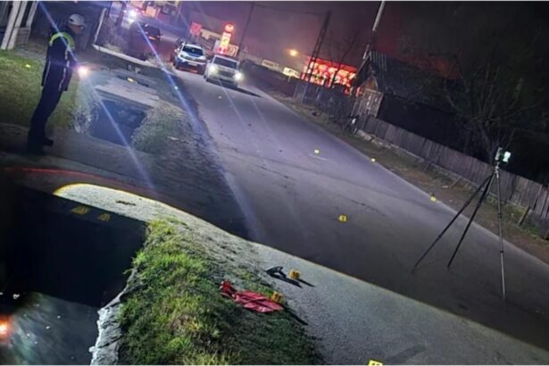 tragedie in judetul arges o femeie de 63 de ani a fost spulberata de un sofer de 24 de ani 6949aff2c80e0