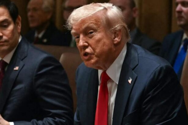 trump critica amenda ue asupra platformei x detinuta de elon musk europa se indreapta intr o directie gresita 6937dadad1766