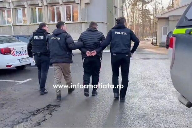 un tanar de 26 de ani a mers in curtea vecinului si i a injunghiat cainele 693aebaa0316f