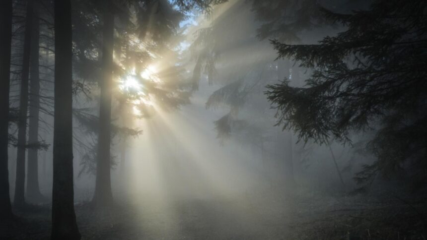 vreme de toamna de craciun cand vin primele ninsori anm a facut anuntul 693bb9e4a8bb0