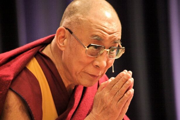 26 de reguli de viata ale lui dalai lama sfaturile liderului tibetan pentru o viata echilibrata si fericita 696a172ee6fda