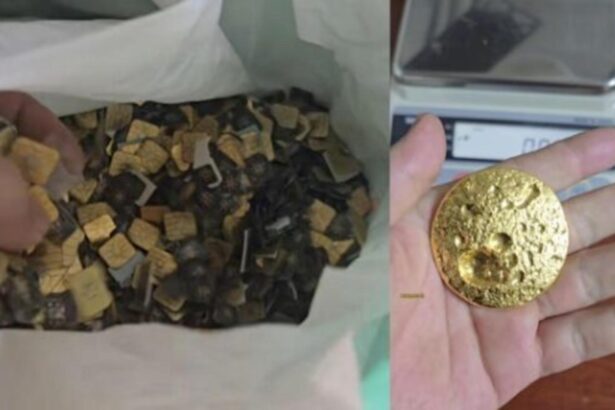 a extras aproape 200 de grame de aur din deseuri electronice cum functioneaza alchimia sim urilor video 69791ee8e3016