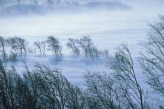 alerta anm cod rosu de vant in judetul cluj rafale de 120 km h 6956d0e5e3468