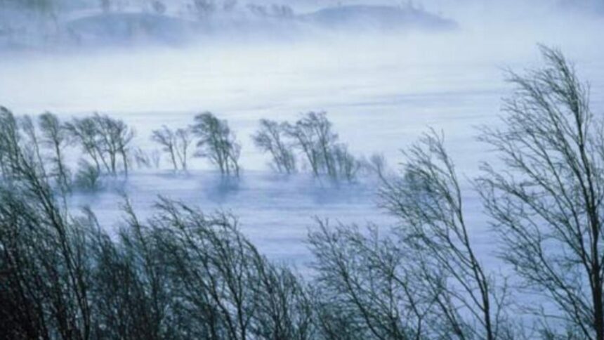 alerta anm cod rosu de vant in judetul cluj rafale de 120 km h 6956d0e5e3468