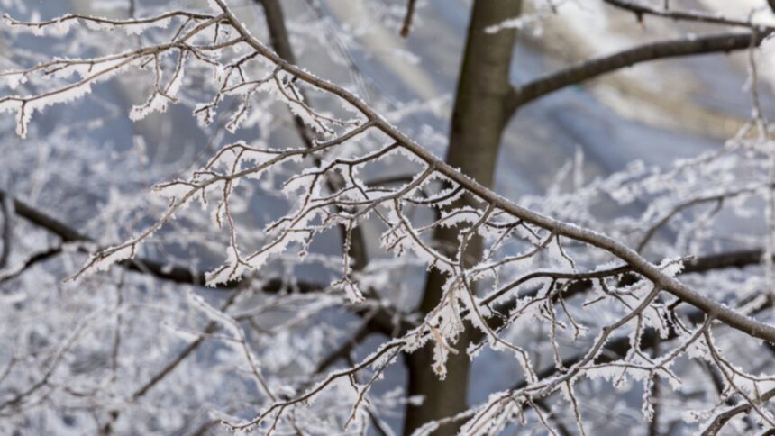 alerta de calatorie de la mae o tara aflata in apropierea romaniei se confrunta cu cod portocaliu de ploi torentiale si ninsori abundente 695bc37c7b8d6