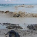 alerta la marea neagra o drona a fost semnalata in apropiere de portul midia 69774a5365048