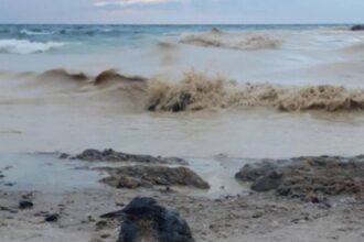 alerta la marea neagra o drona a fost semnalata in apropiere de portul midia 69774a5365048