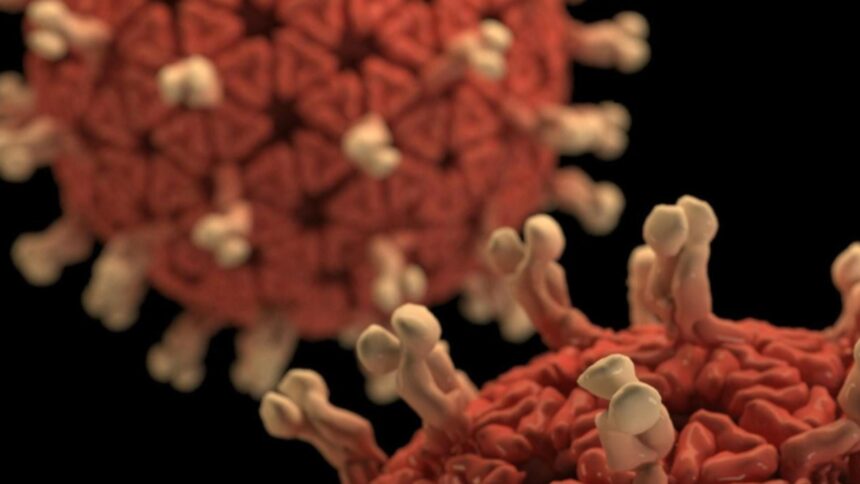 alerta sanitara intr o tara din europa autoritatile se pregatesc pentru cel mai greu sezon de gripa din istorie 695f6d83a6a83