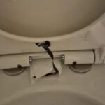 ancheta a politiei dupa ce o camera video a fost gasita ascunsa in toaleta unui restaurant o clienta a facut descoperirea 6979bd204603e