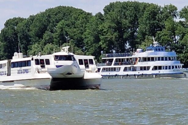 austeritatea lui bolojan ii loveste si pe oamenii din delta dunarii transportul naval de calatori n a mai primit bani de la inceputul anului 697ce5d98e963