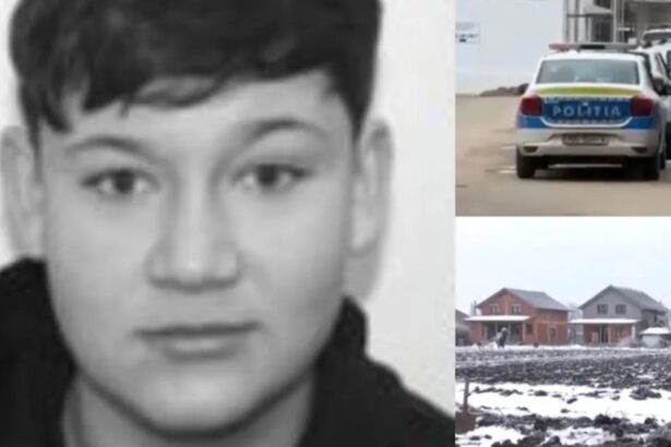 care ar fi fost motivul crimei din timis minorul de 13 ani a fost primul care a recunoscut mario e mort l a omorat dani 69720b9f56393