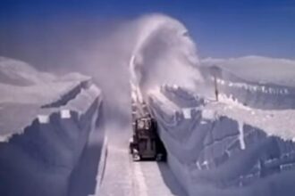 casa alba vorbeste deschis despre optiunea militara in groenlanda tensiuni imense in interiorul nato 695e0d9e3c73e