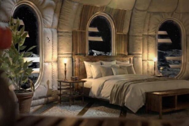 cat te costa sa rezervi o camera in primul hotel de pe luna depozitul minim iti da instant palpitatii 69779536067bf