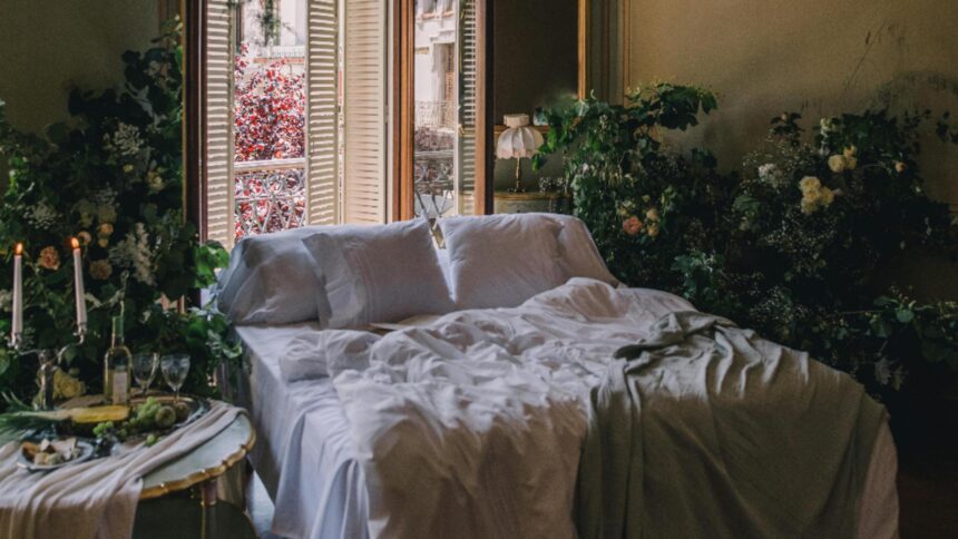 ce plante sa ai in dormitor purifica aerul si aduc armonie si iubire conform principiilor feng shui 697b30db89d9d