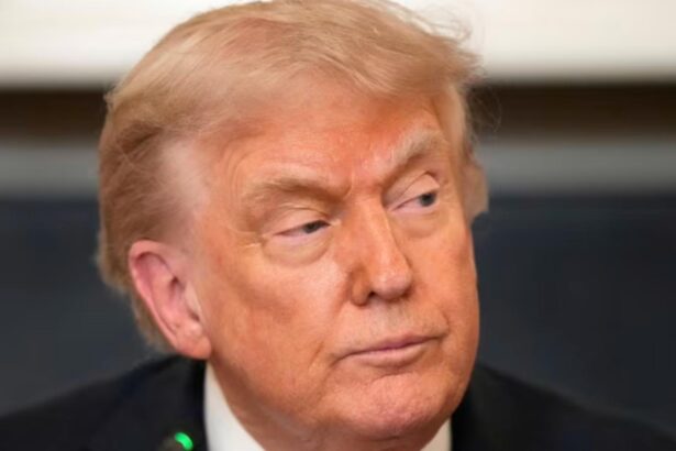 donald trump ia in calcul retragerea sua din nato ma intreb daca la nevoie aliatii ar fi acolo pentru noi video 6964db6794902