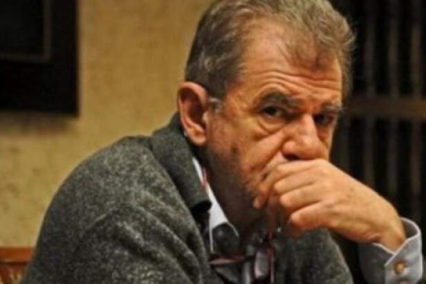 florin zamfirescu au distrus industria si barajele urmeaza fermele vom ajunge sa cumparam doar de la straini 696c80036185f