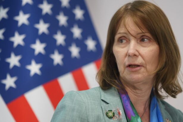 fosta ambasadoare sua in romania in centrul unui scandal imens acuzatii de arta satanica cu bebelusi 697a1c189b350