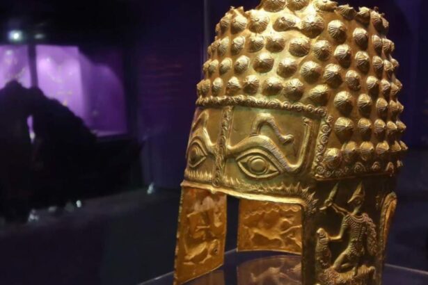 fostul director al muzeului national de istorie acuza conducerea muzeului olandez ca a mintit in cazul furtului tezaurului dacic foto 695e2509e2663