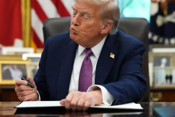 germania ameninta cu boicotul mondialului din sua din cauza lui doland trump 696ffce54b10e