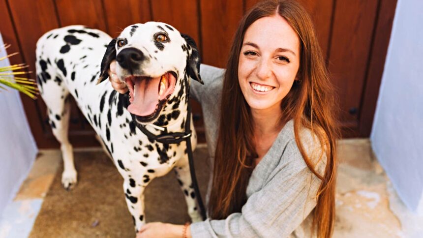 if your dog does these 10 sweet things when they see you they love you from the depths of their soul 6974ca3196645