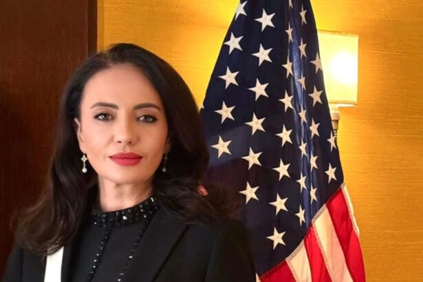 incep audieri in comisiile parlamentare pe tema anularii alegerilor prezidentiale din 2024 la initiativa aur 69736342914a0