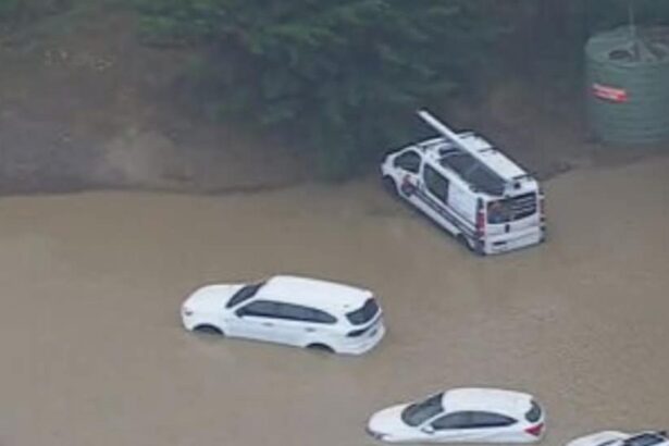 inundatii devastatoare in australia am pierdut totul marturia unei mame care si a salvat copiii in ultima secunda 6968d18c192a4