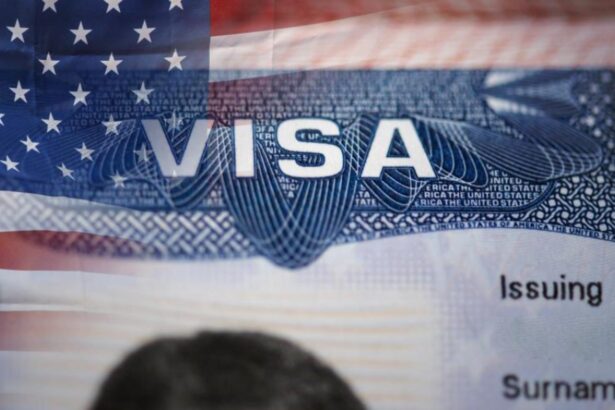 mai multe state reactie in lant raspund interdictiei de calatorie a sua cu propriile interdictii pentru americani 695d083c20a21